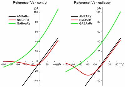 Seizure-Induced Potentiation of AMPA Receptor-Mediated Synaptic Transmission in the Entorhinal Cortex